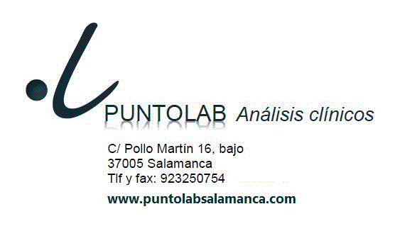PUNTOLAB logo